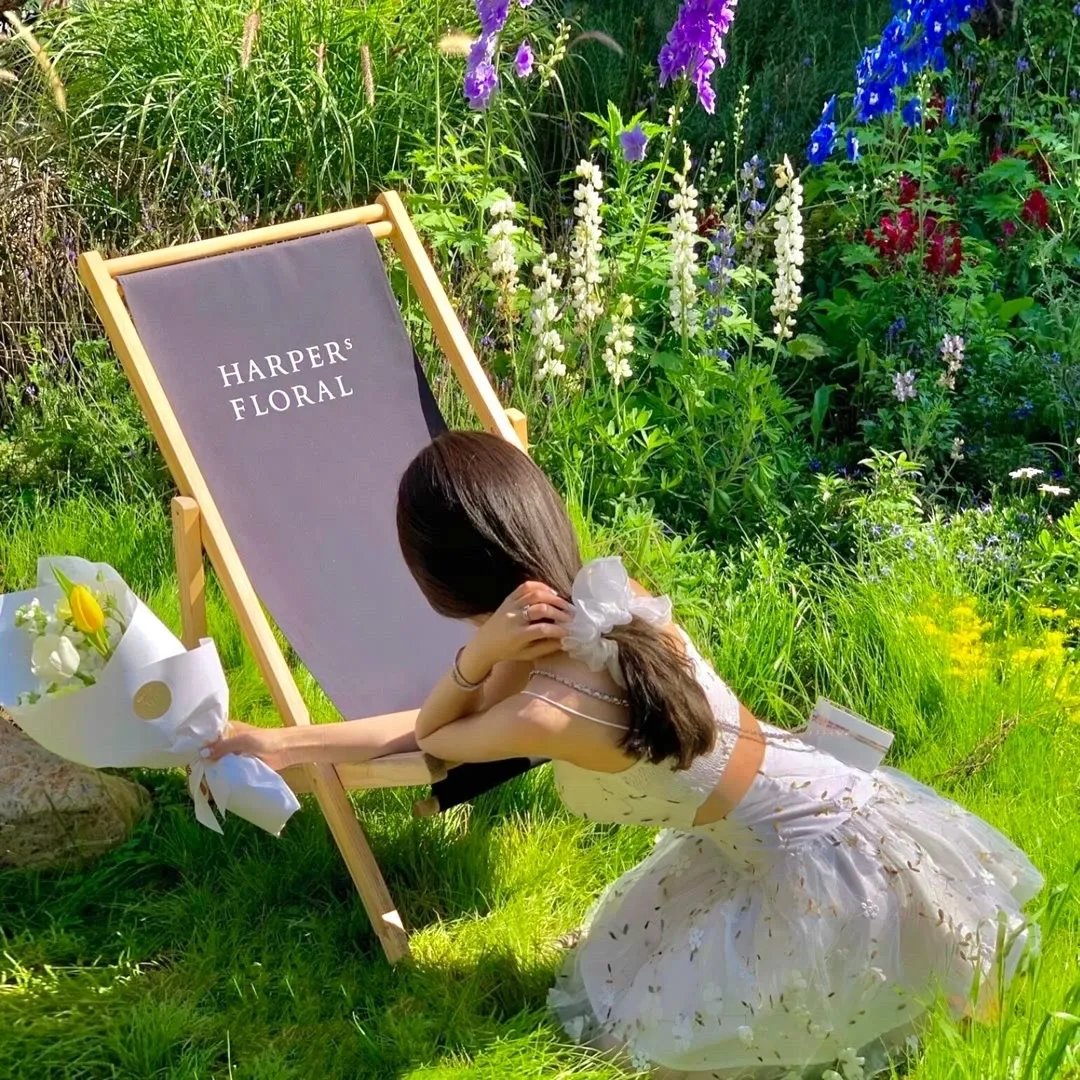 哆啦A梦：大雄的绘画奇遇记